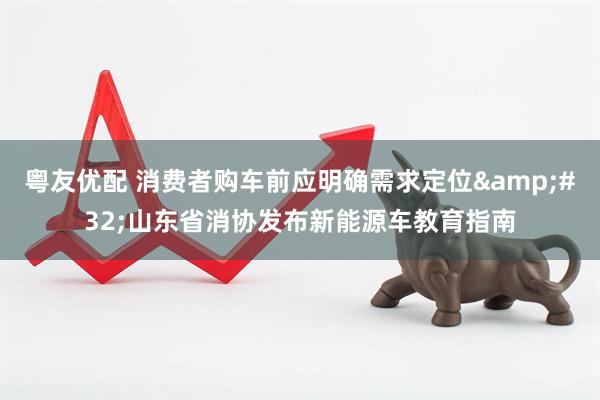 粤友优配 消费者购车前应明确需求定位&#32;山东省消协发布新能源车教育指南